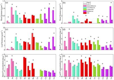 Root morphological and physiological traits and arbuscular mycorrhizal fungi shape phosphorus-acquisition strategies of 12 vegetable species